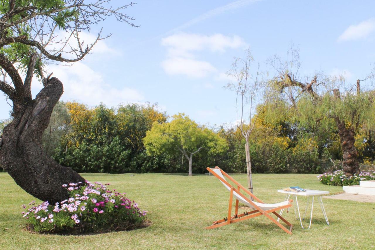 Villa Pedras D'el Rei